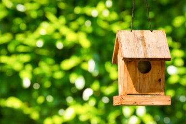 atelier fabrication nichoirs