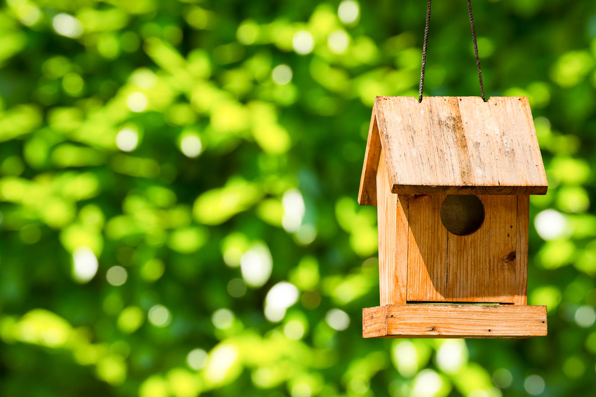 atelier fabrication nichoirs