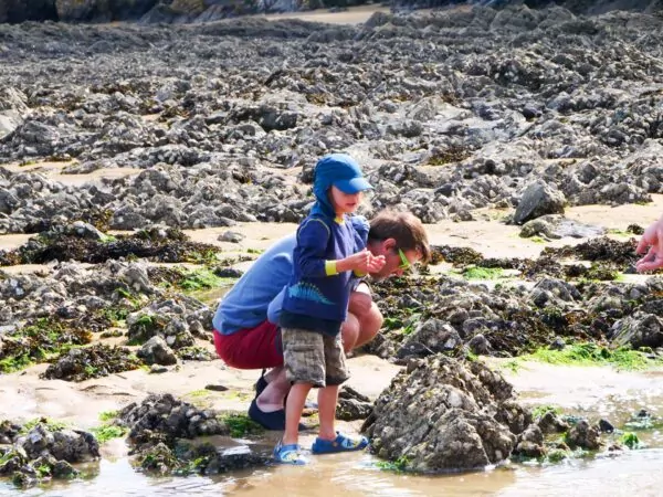 Balade : les algues comestibles