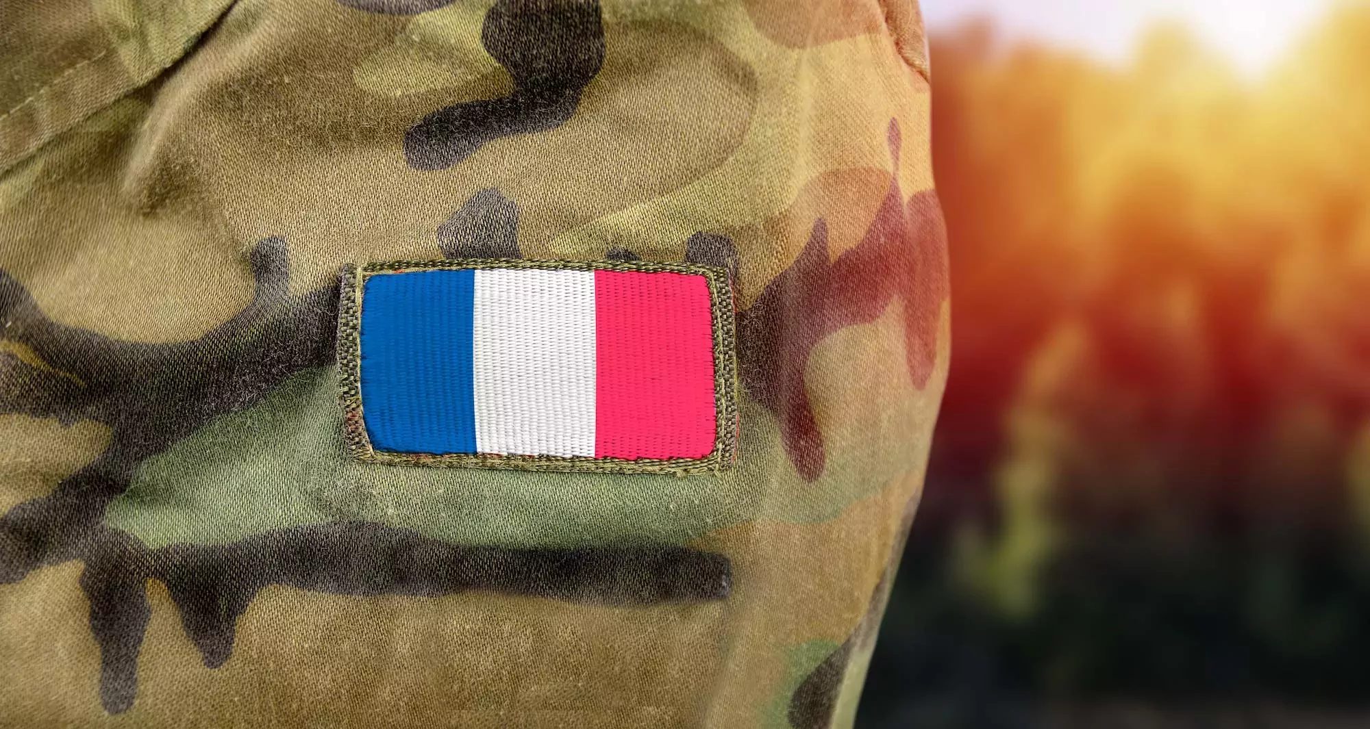 Cérémonie 8 mai 1945 - drapeau français fin guerre